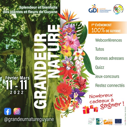 Evénement digital Grandeur nature Guyane